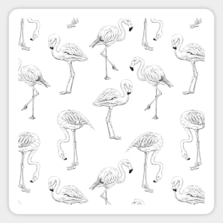 Flamingo pattern Sticker